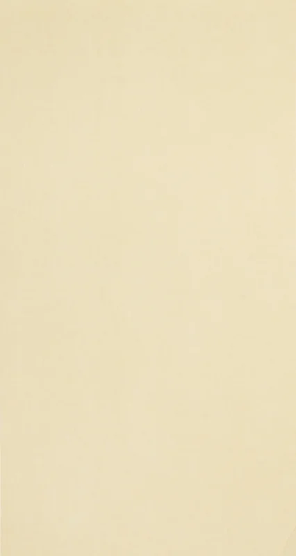 Productafbeelding 2