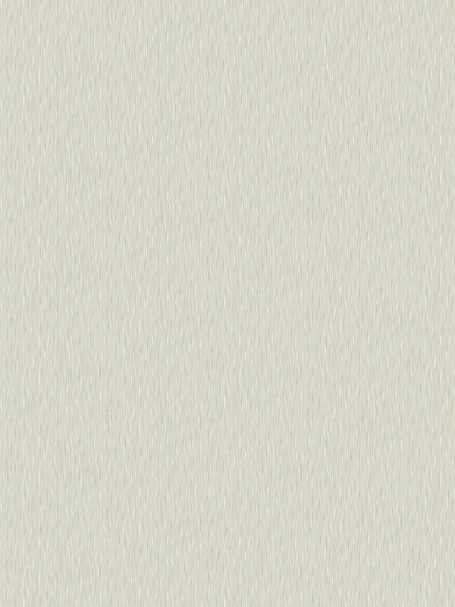 Productafbeelding 2