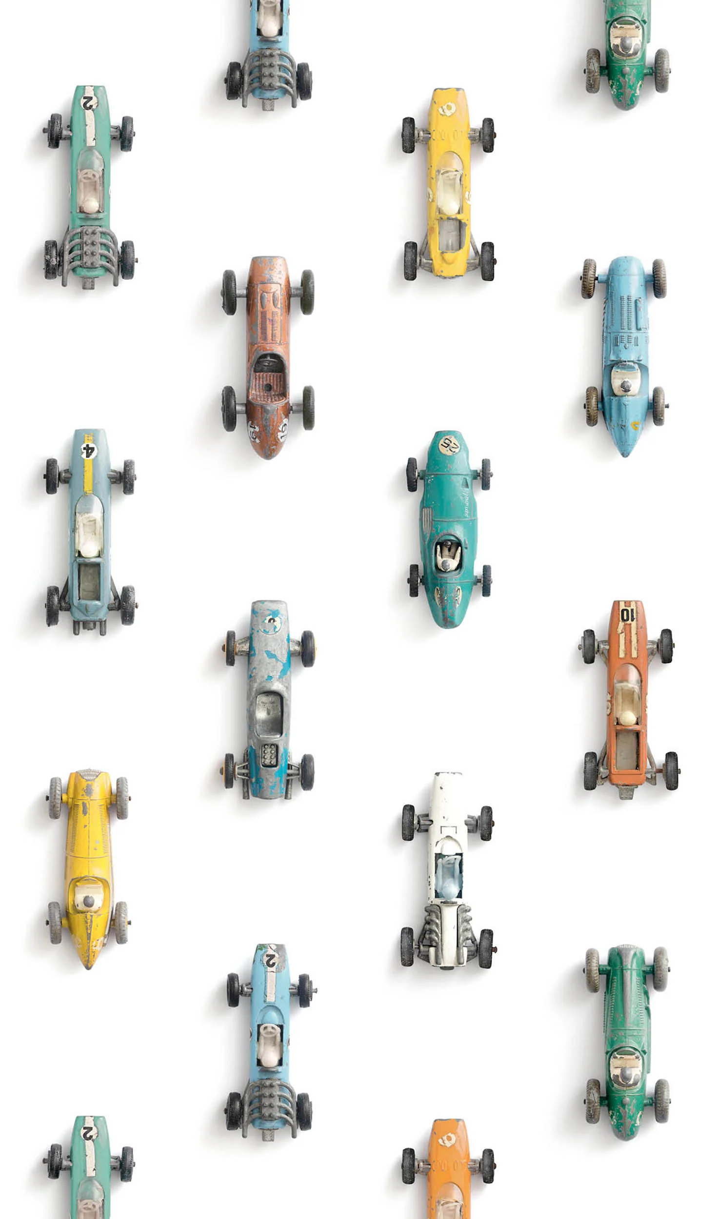 Miniatuur 1